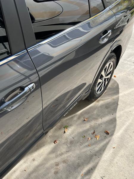 Dent Artist Paintless Dent Removal