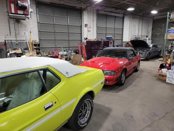 Mustang Stables