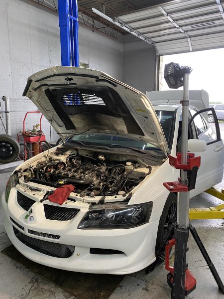 Dog House Performance