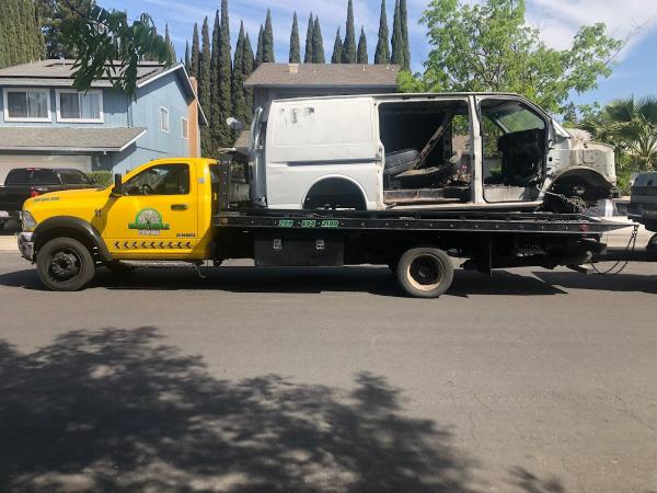 Cavallino Coachworks Inc