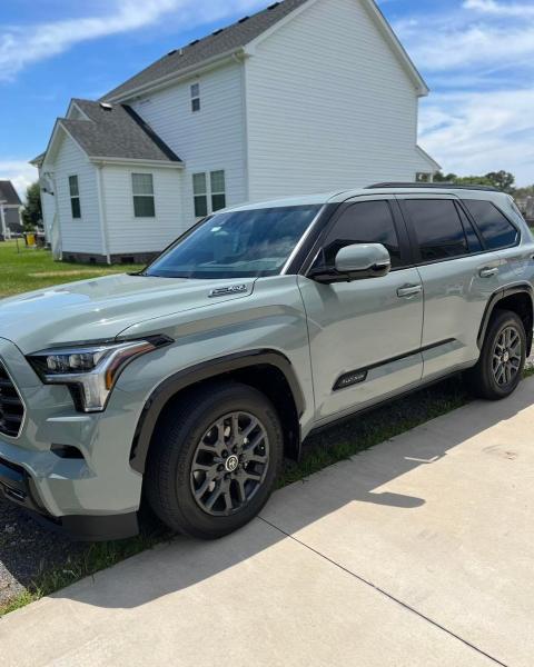 Carolina Tint Co.