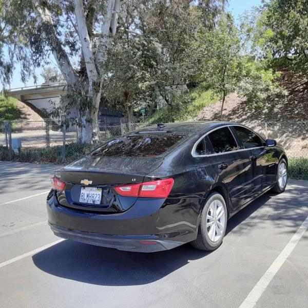 Tint Plus Auto Glass