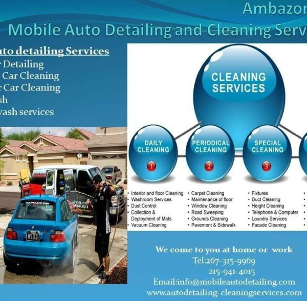 Pro South Mobile Auto Detailing & Home Cleaning Services