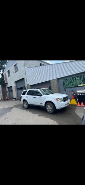 BIG Dog's Auto Repair
