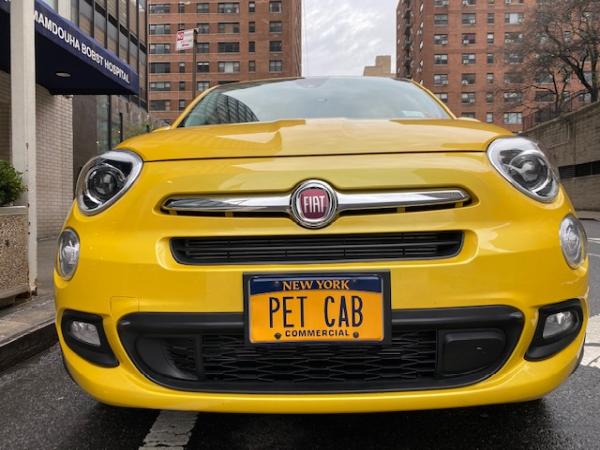 Pet Cab NYC