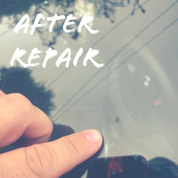 Glassvet Windshield Repair