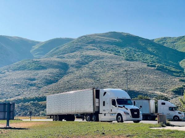 Alliance Cargo Inc
