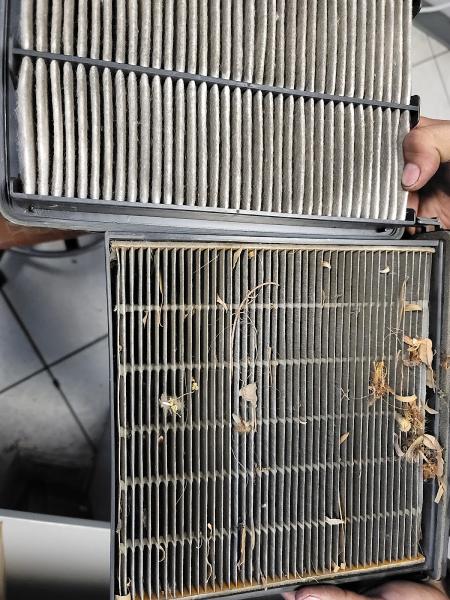 Purrfect Auto Services