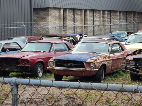 Mustang Masters