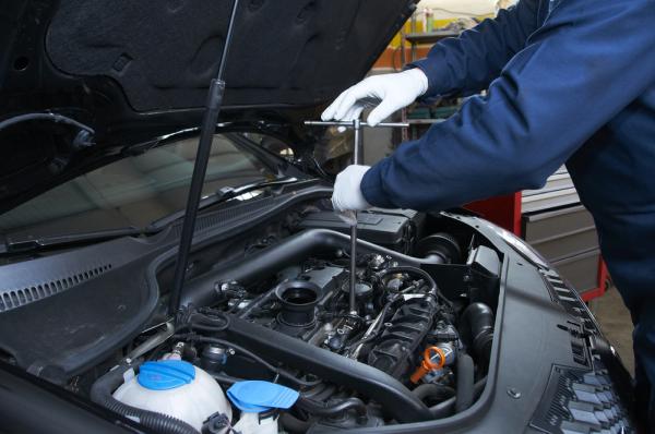 Hays Automotive