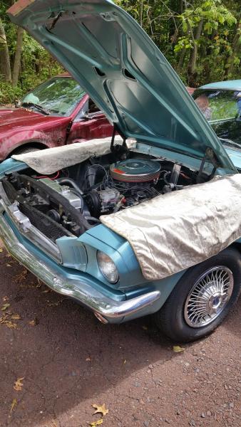 Mustang Barn and American Classics