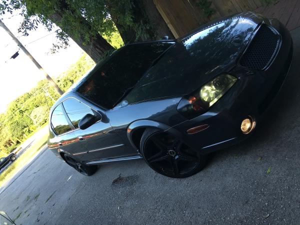 Quality Tint & Wash