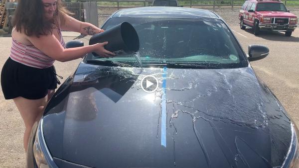 P&G Mobile Auto Detailing