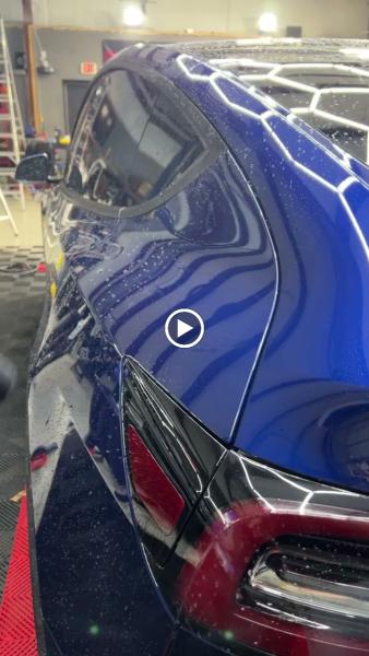 The Carologist- Xpel Clear Film PPF & Ceramic Coatings