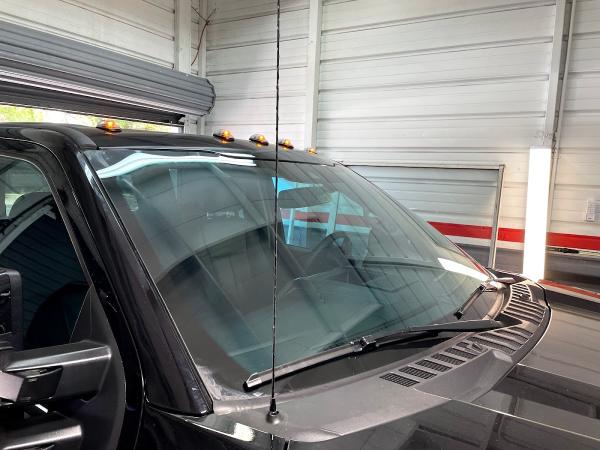 Procar Window Tint