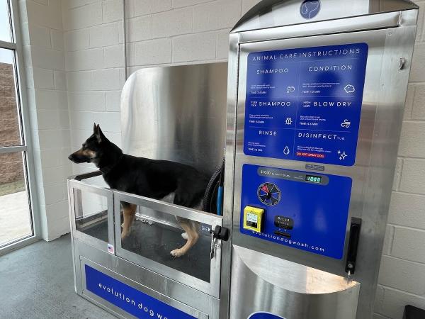 Sparky's Car Wash McKinney