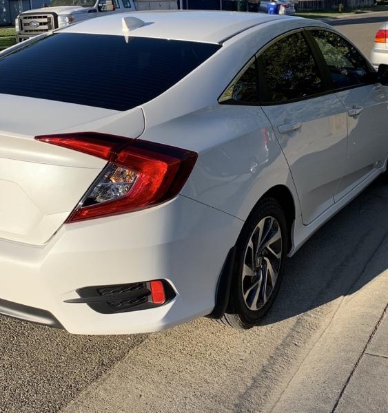 Everlast Window Tint