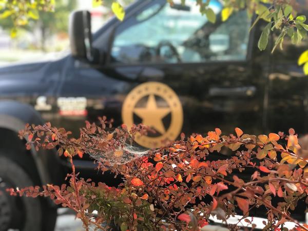 Lone Star Towing & Recovery