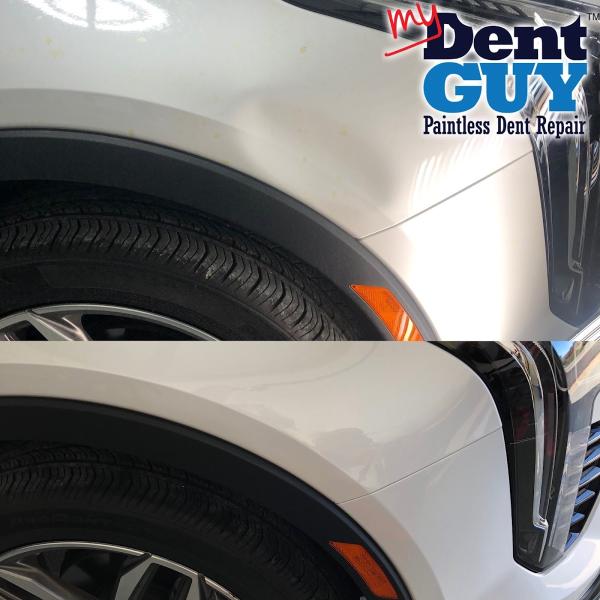 My Dent Guy Paintless Dent Repair LLC