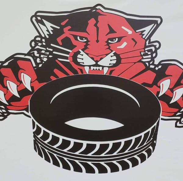 Wildcat Tire