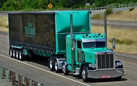 George van Dyke Trucking Inc