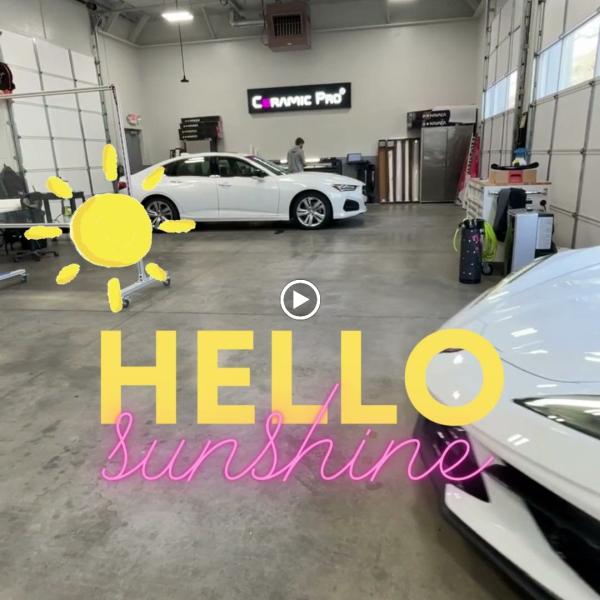 Vivid Finish and Films