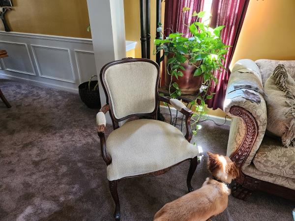 Oscar's Upholstery