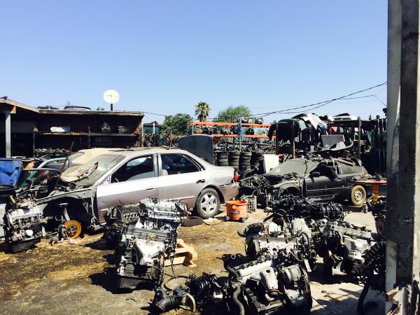 Honda & Foreign Auto