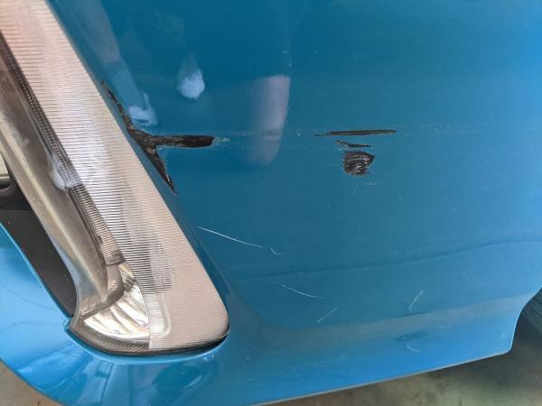 Amazing Bumpers
