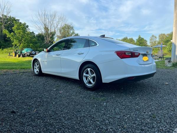 Precision Care Detailing