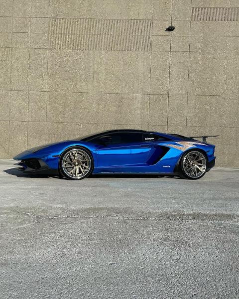 Warrior's Tinting