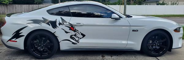 Shadow Graphics