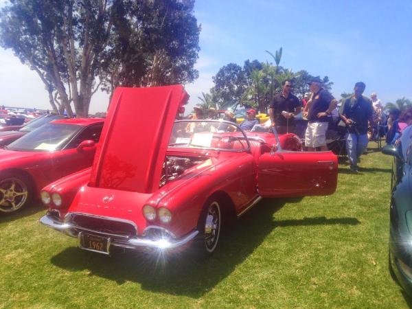 McJacks Corvettes