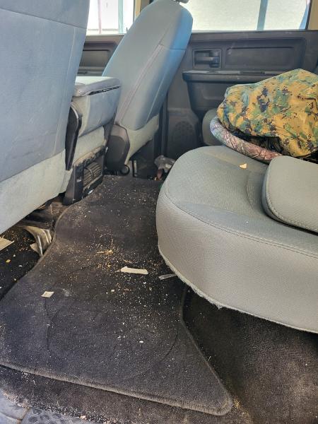 Spotless Shine Auto Detail