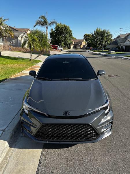 Presidential Tints