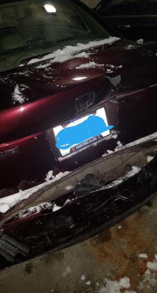 Central Illinois Autobody Inc