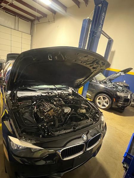 Elite European Auto