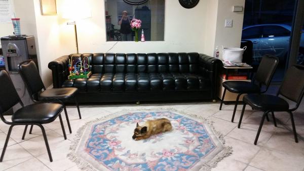 Auto Max International LLC