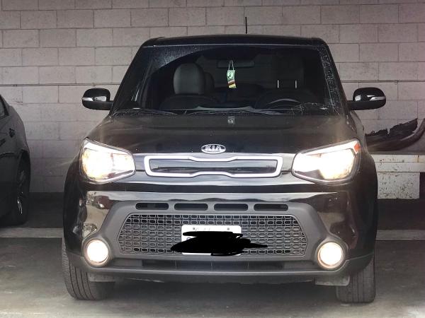 Auto Trinity