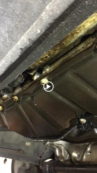 Bayside Auto Care INC