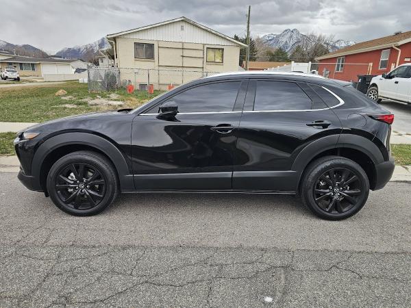 Thomas Tint and Paint Protection