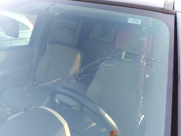 Estrada's Carglass