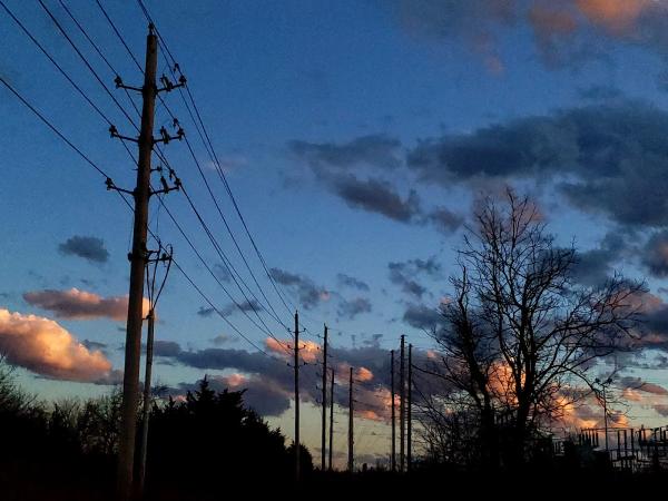 Road Dog Mobile Repair LLC