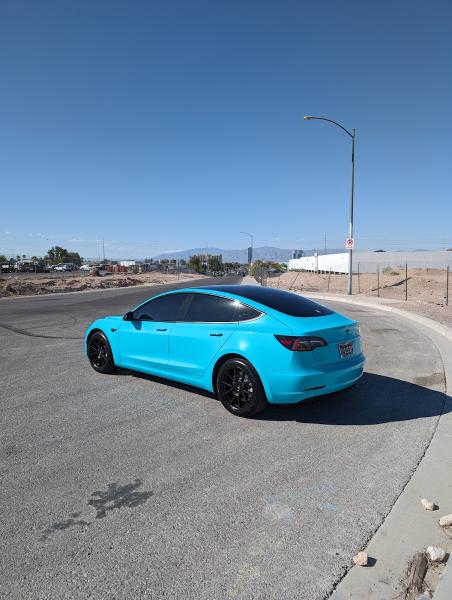 Madhouse Detailing & Customs