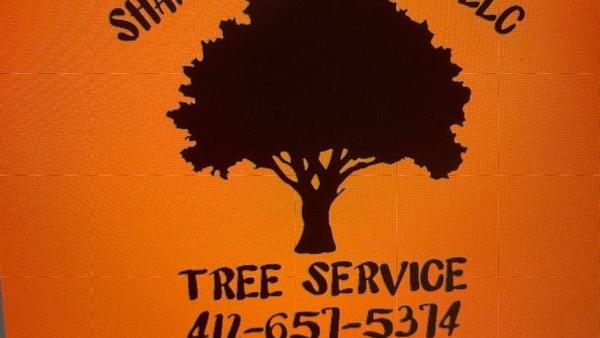 Shane Holland Enterprises LLC