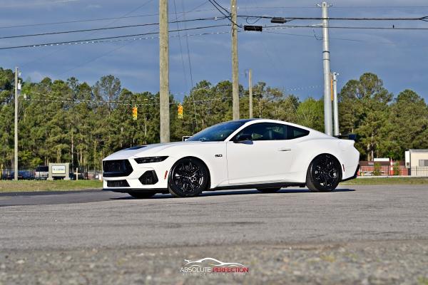 Absolute Perfection Auto Detailing