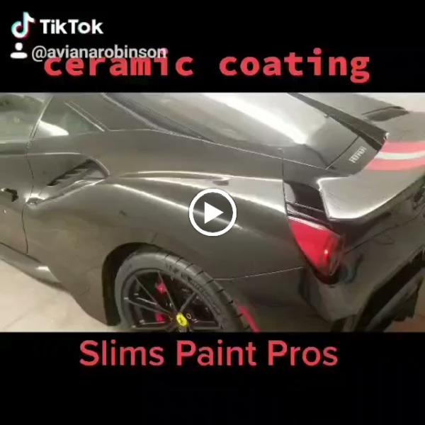 Slims Paint Pros