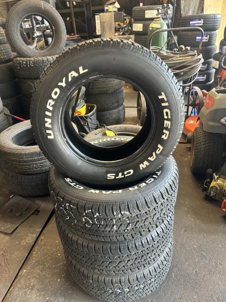 Pig's Marathon Tires