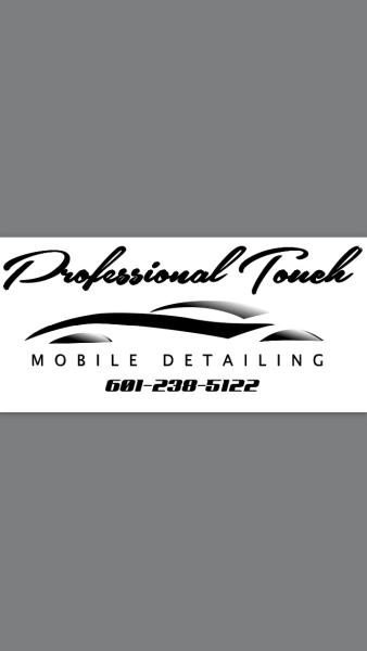 Professional Touch Mobile Detailing