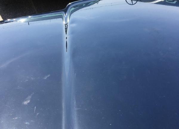 Seacoast Dent Repair